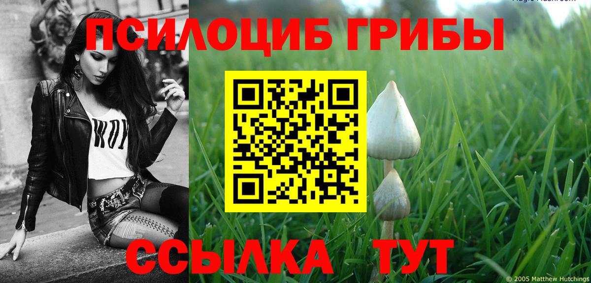 Галлюциногенные грибы Cubensis Белорецк