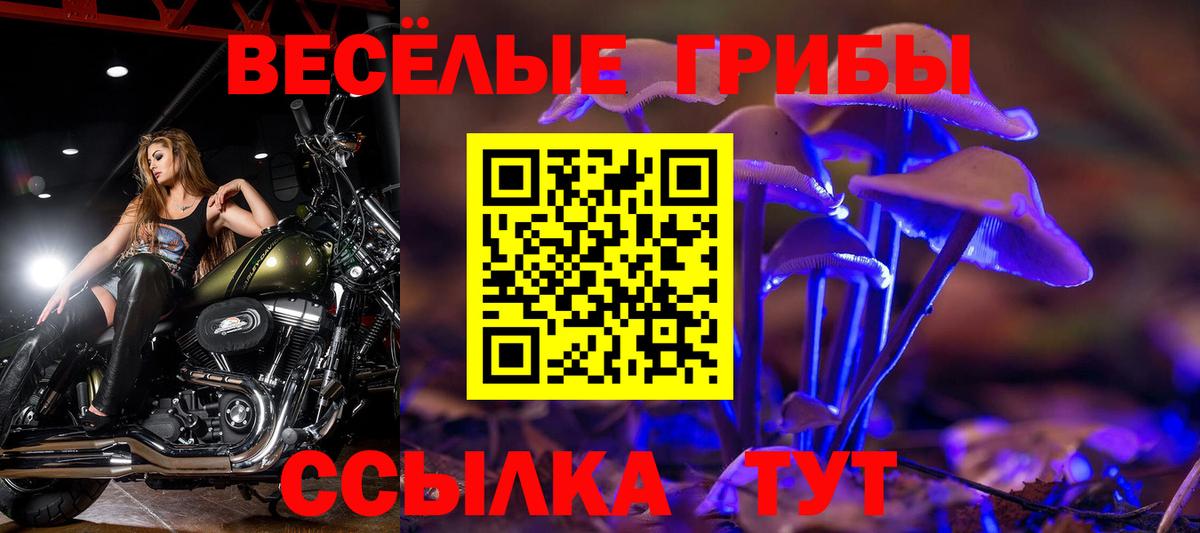 Белорецк  Галлюциногенные грибы MAGIC MUSHROOMS  Вход с VPN 